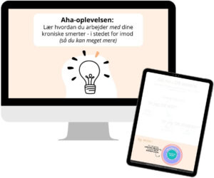 Aha Oplevelsen