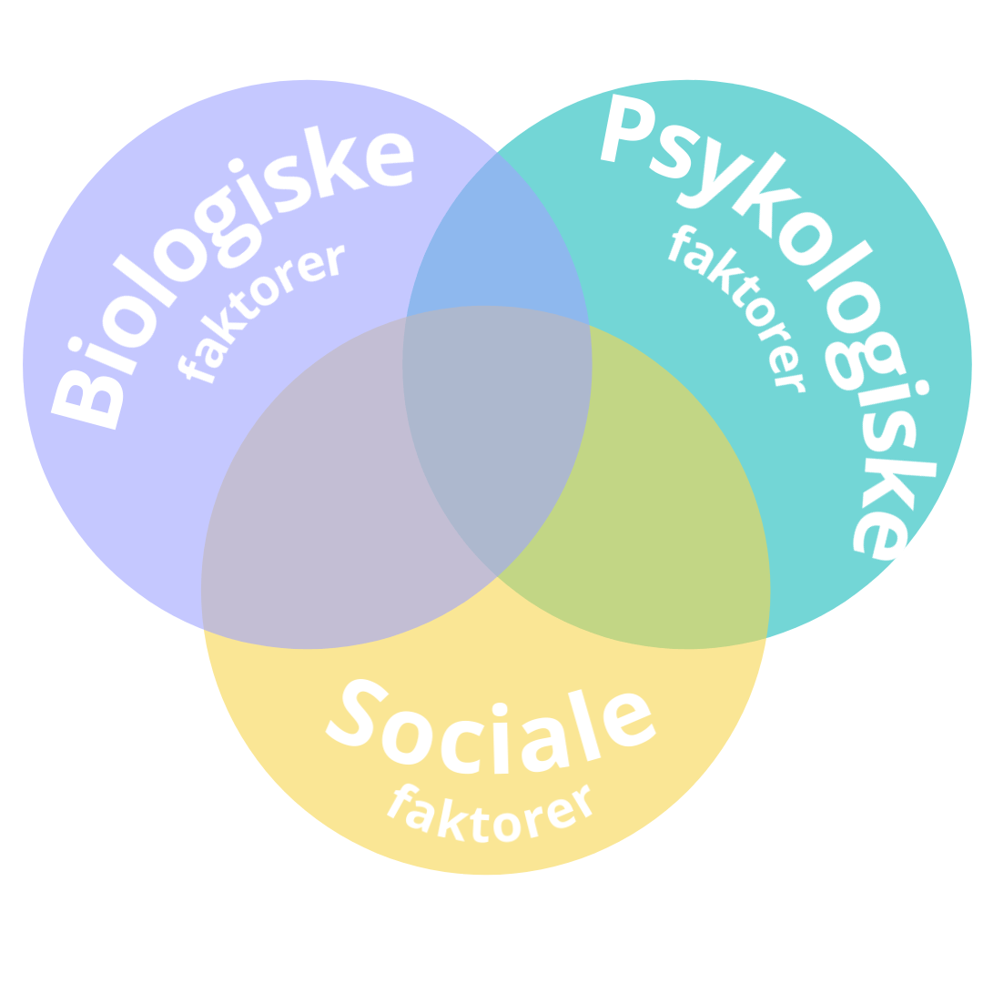Bio-Psyko-Sociale faktorer grafik