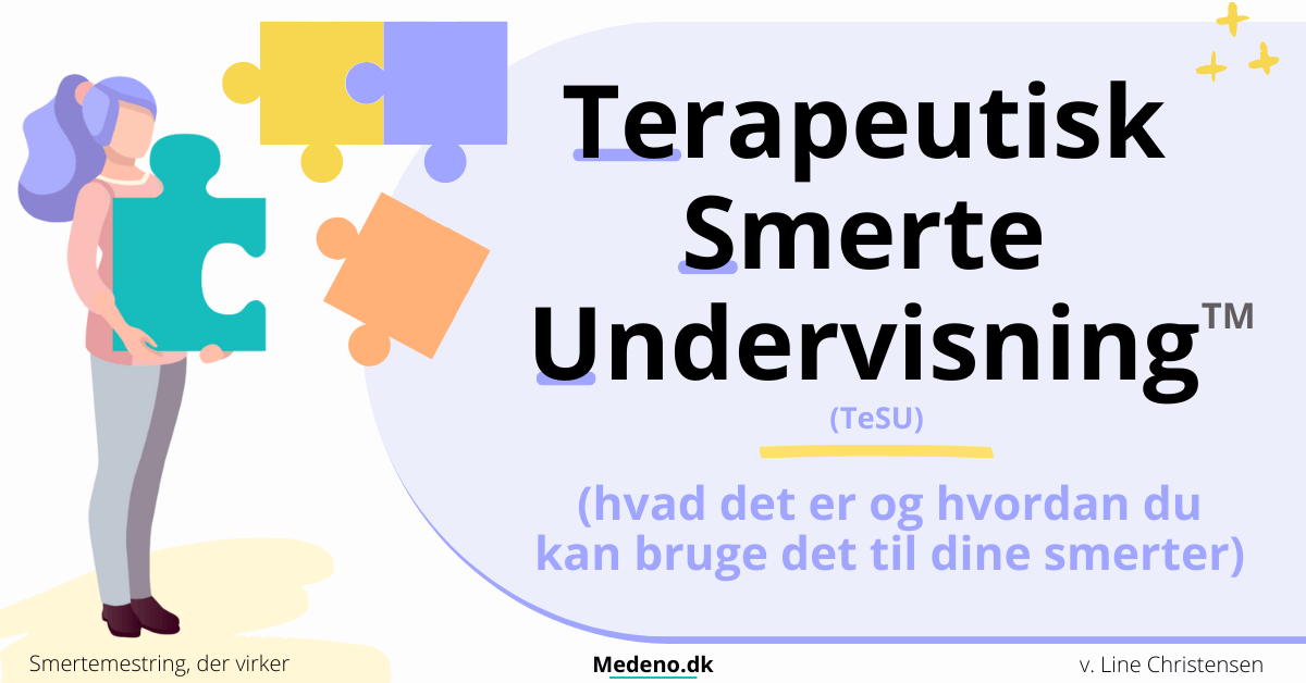 Cover - Terapeutisk Smerte Undervisning